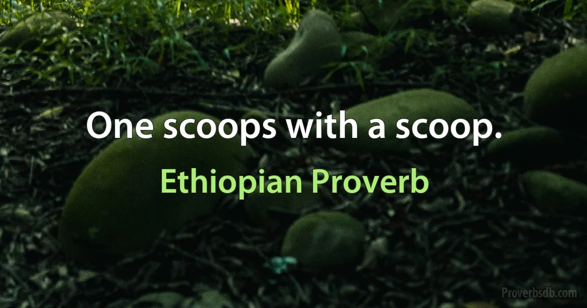 One scoops with a scoop. (Ethiopian Proverb)