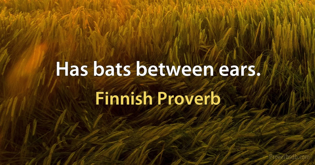 Has bats between ears. (Finnish Proverb)