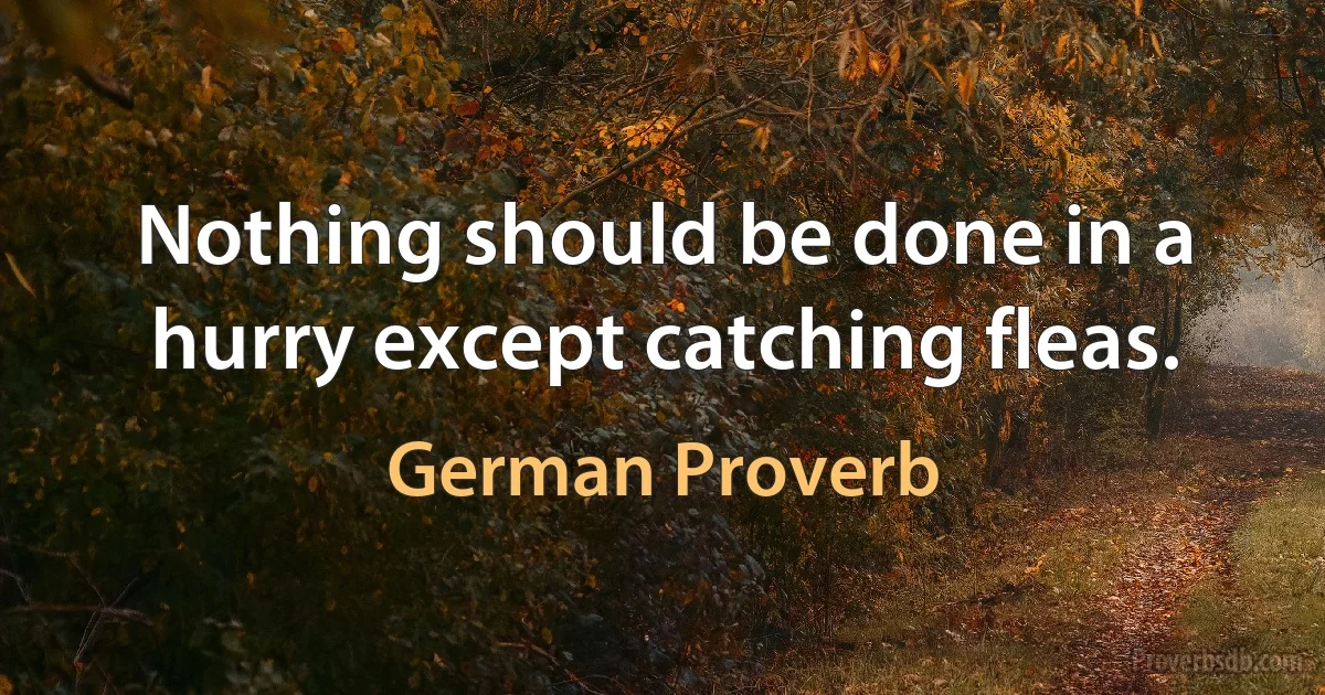 Nothing should be done in a hurry except catching fleas. (German Proverb)