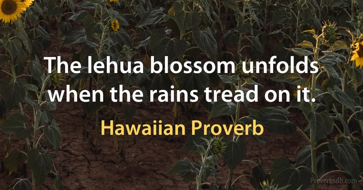 The lehua blossom unfolds when the rains tread on it. (Hawaiian Proverb)