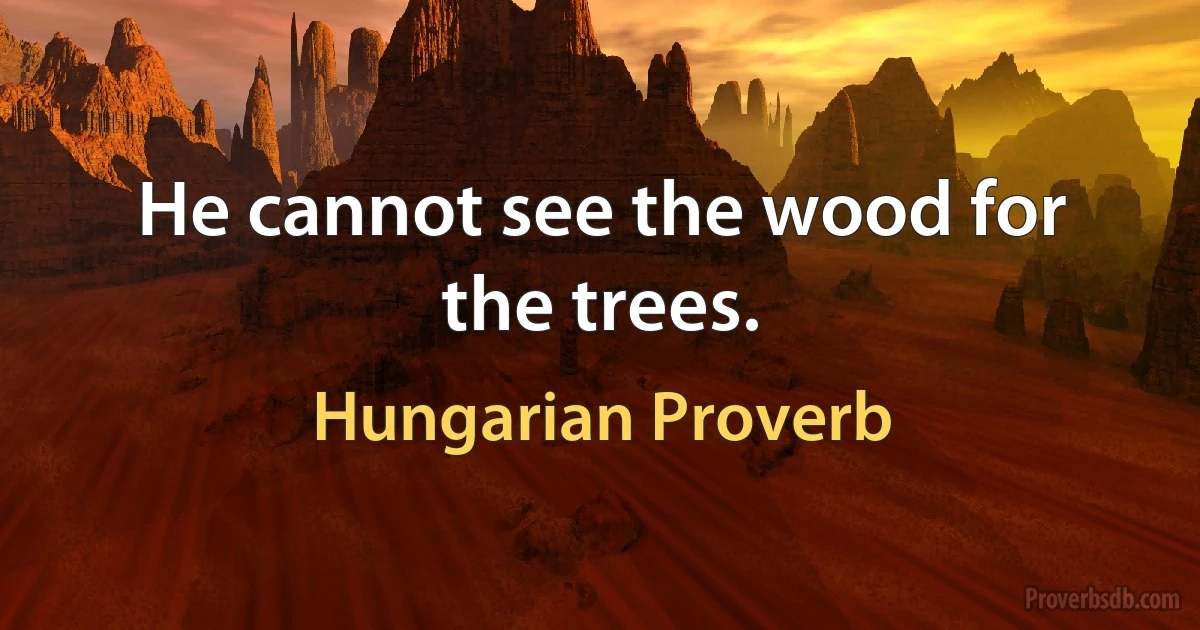 He cannot see the wood for the trees. (Hungarian Proverb)