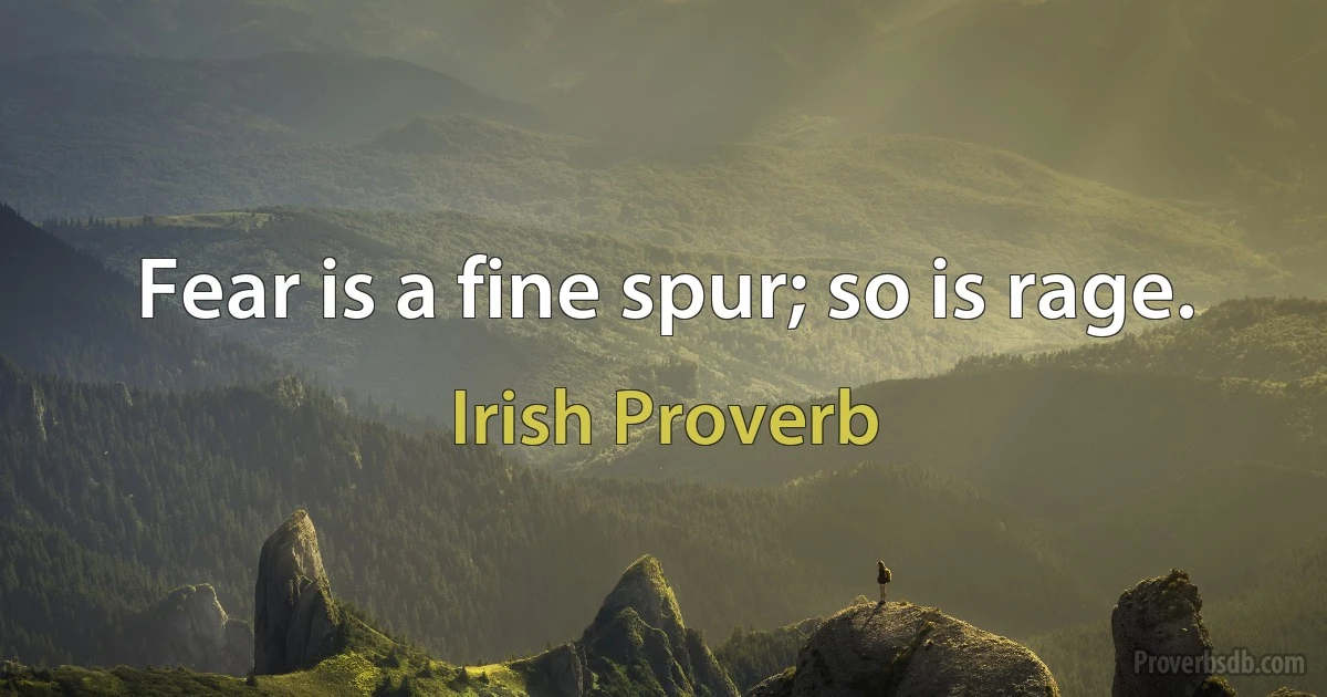 Fear is a fine spur; so is rage. (Irish Proverb)