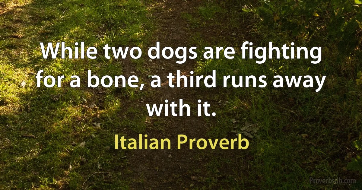 While two dogs are fighting for a bone, a third runs away with it. (Italian Proverb)