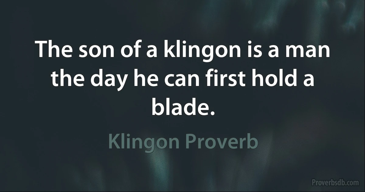 The son of a klingon is a man the day he can first hold a blade. (Klingon Proverb)