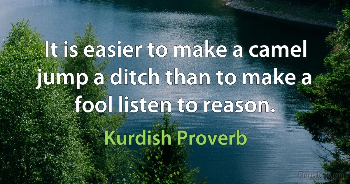 It is easier to make a camel jump a ditch than to make a fool listen to reason. (Kurdish Proverb)