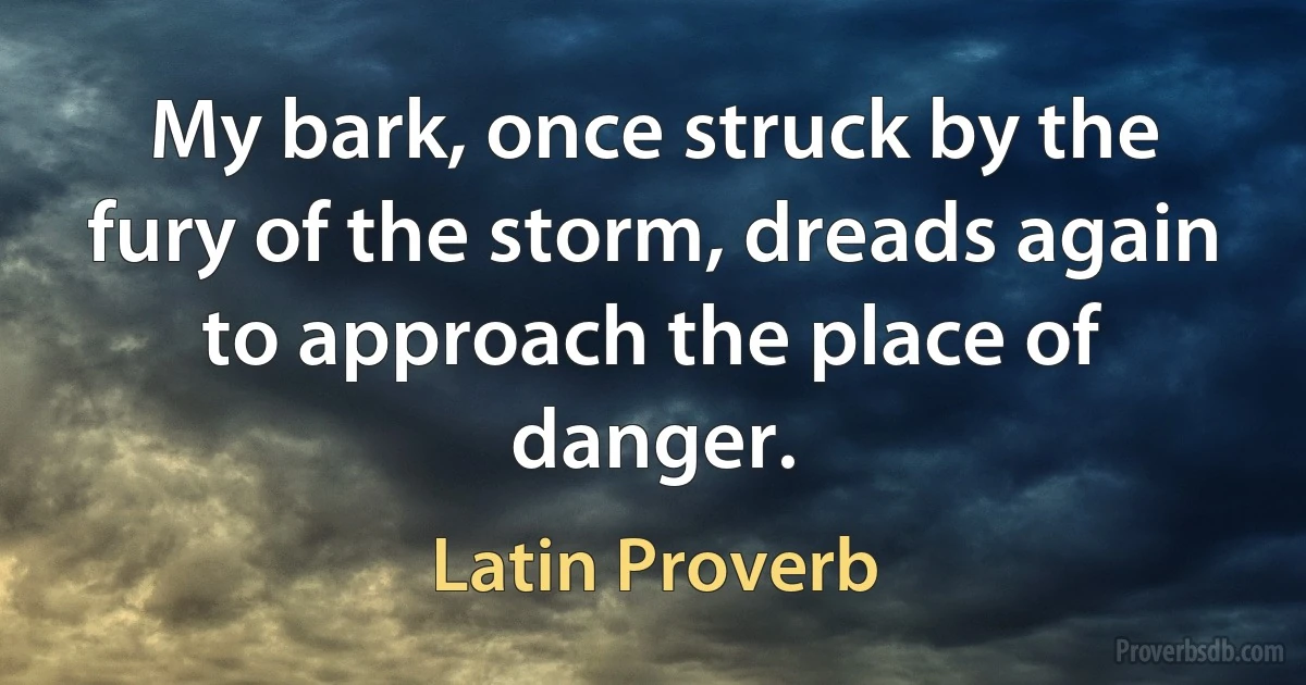 My bark, once struck by the fury of the storm, dreads again to approach the place of danger. (Latin Proverb)