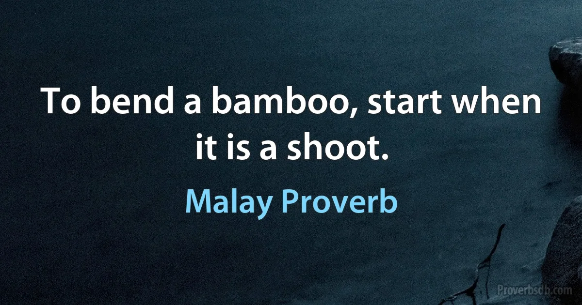 To bend a bamboo, start when it is a shoot. (Malay Proverb)