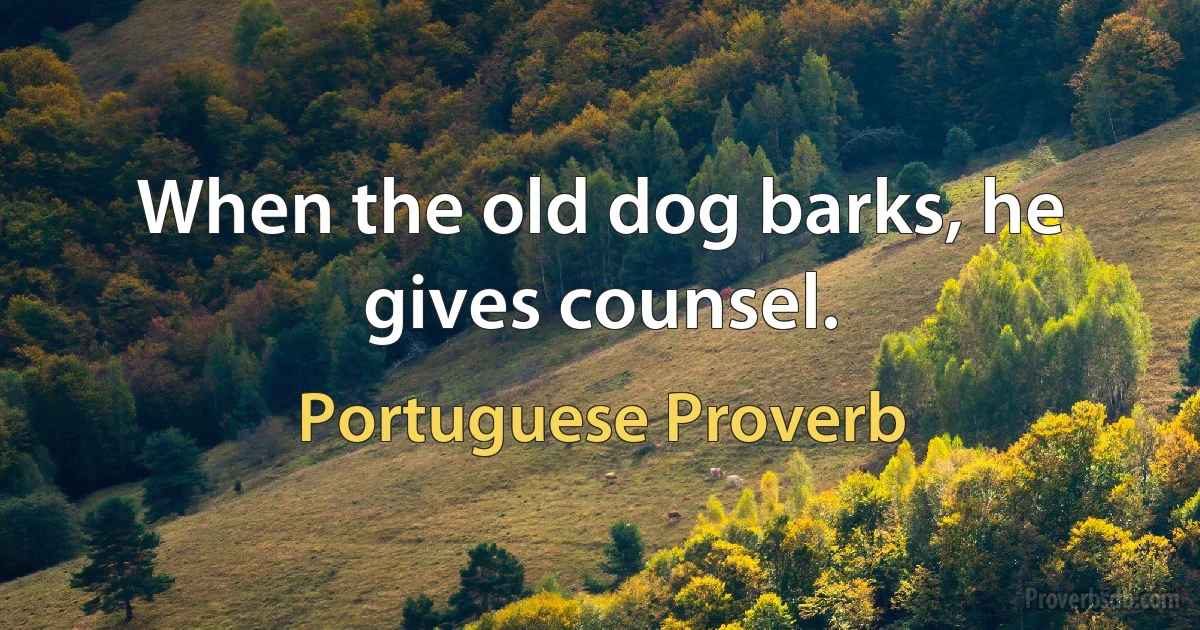 When the old dog barks, he gives counsel. (Portuguese Proverb)