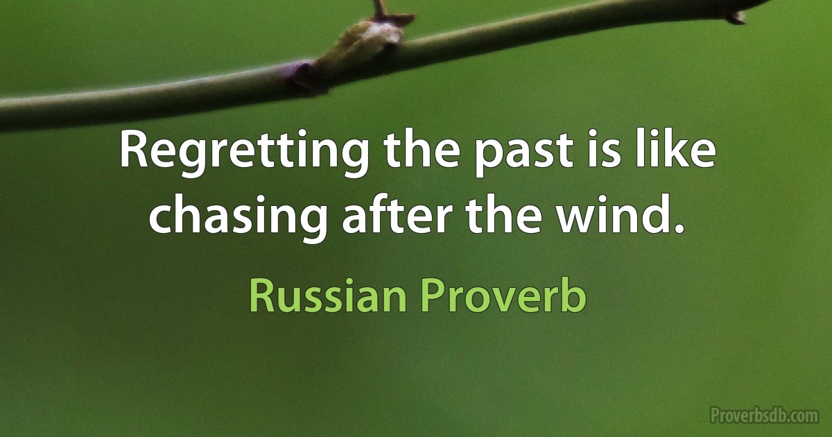 Regretting the past is like chasing after the wind. (Russian Proverb)