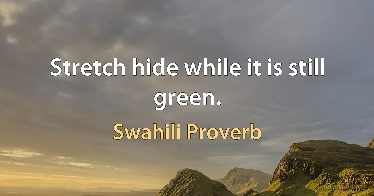 Stretch hide while it is still green. (Swahili Proverb)