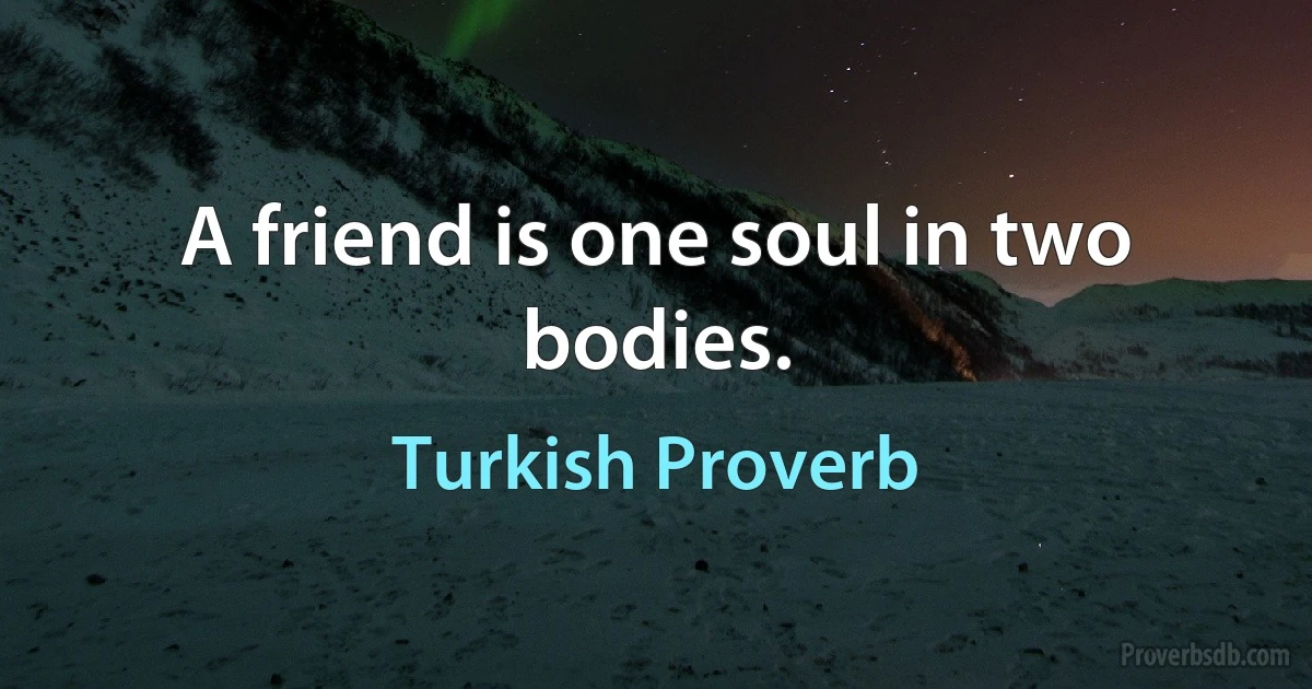 A friend is one soul in two bodies. (Turkish Proverb)