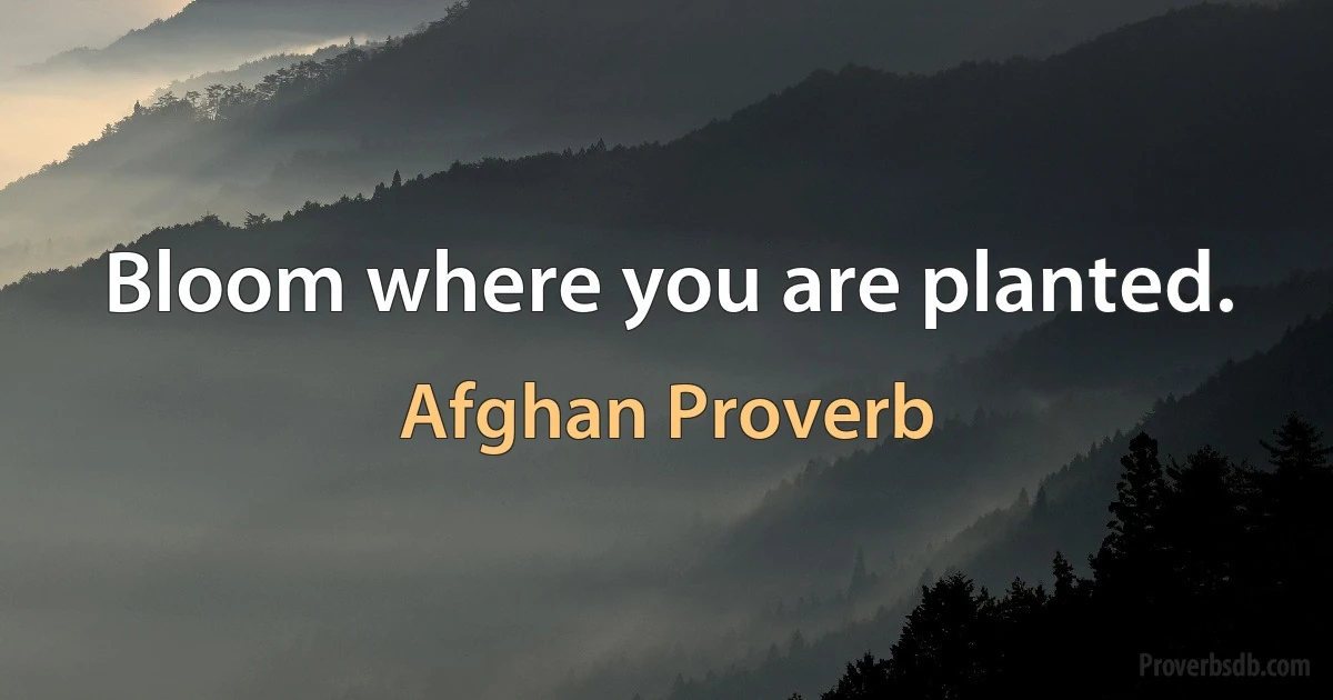 Bloom where you are planted. (Afghan Proverb)