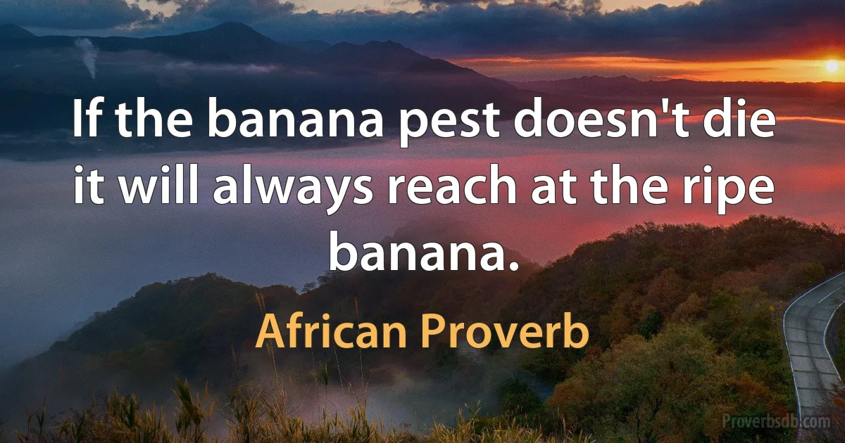 If the banana pest doesn't die it will always reach at the ripe banana. (African Proverb)