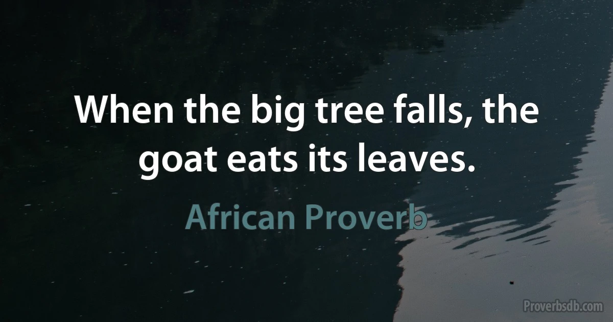 When the big tree falls, the goat eats its leaves. (African Proverb)