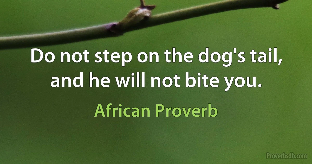 Do not step on the dog's tail, and he will not bite you. (African Proverb)