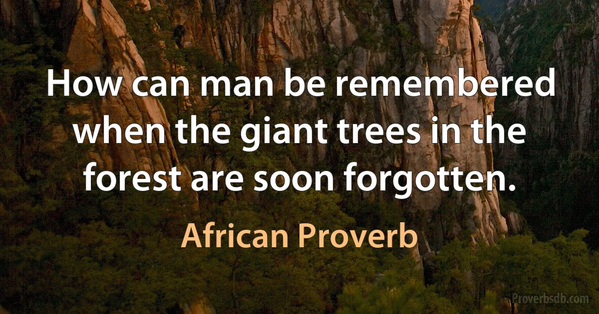 How can man be remembered when the giant trees in the forest are soon forgotten. (African Proverb)