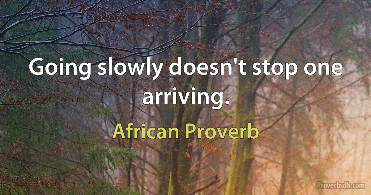 Going slowly doesn't stop one arriving. (African Proverb)