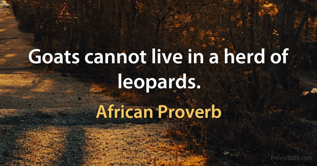 Goats cannot live in a herd of leopards. (African Proverb)