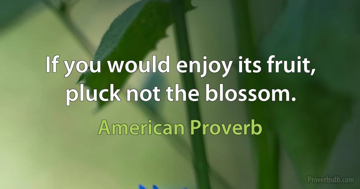 If you would enjoy its fruit, pluck not the blossom. (American Proverb)