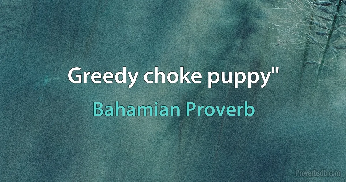 Greedy choke puppy" (Bahamian Proverb)