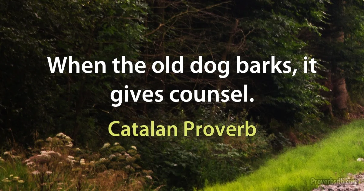 When the old dog barks, it gives counsel. (Catalan Proverb)