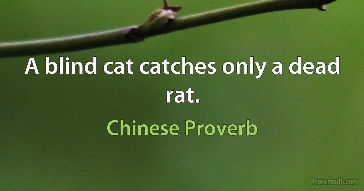 A blind cat catches only a dead rat. (Chinese Proverb)