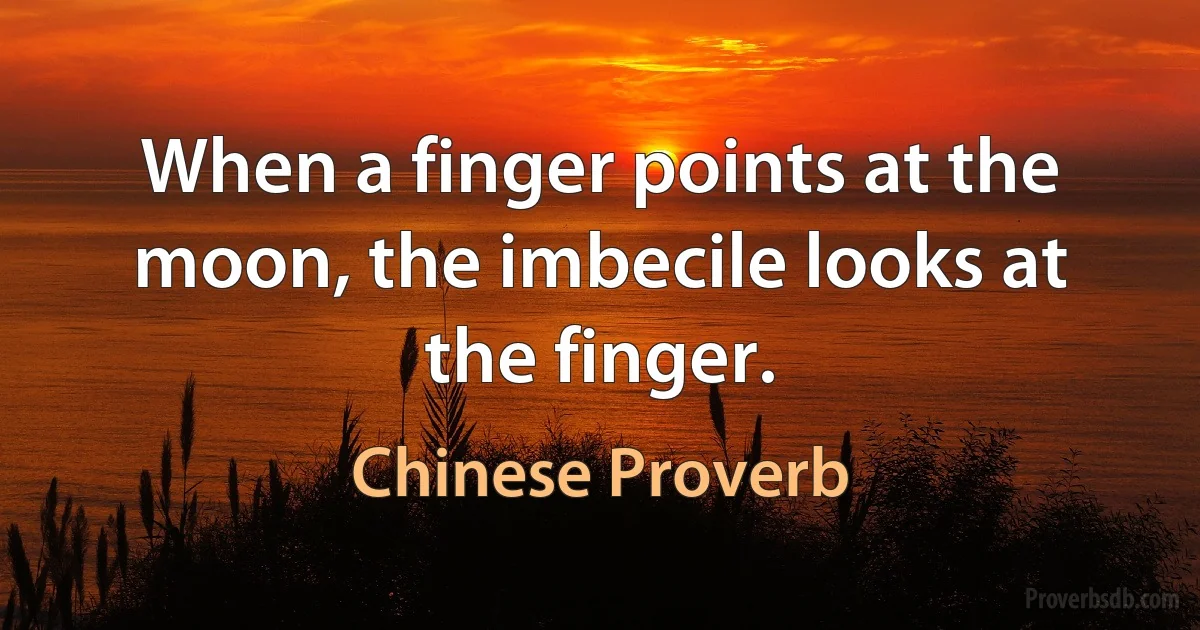 When a finger points at the moon, the imbecile looks at the finger. (Chinese Proverb)