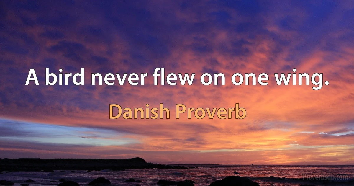 A bird never flew on one wing. (Danish Proverb)