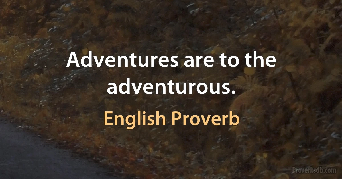 Adventures are to the adventurous. (English Proverb)
