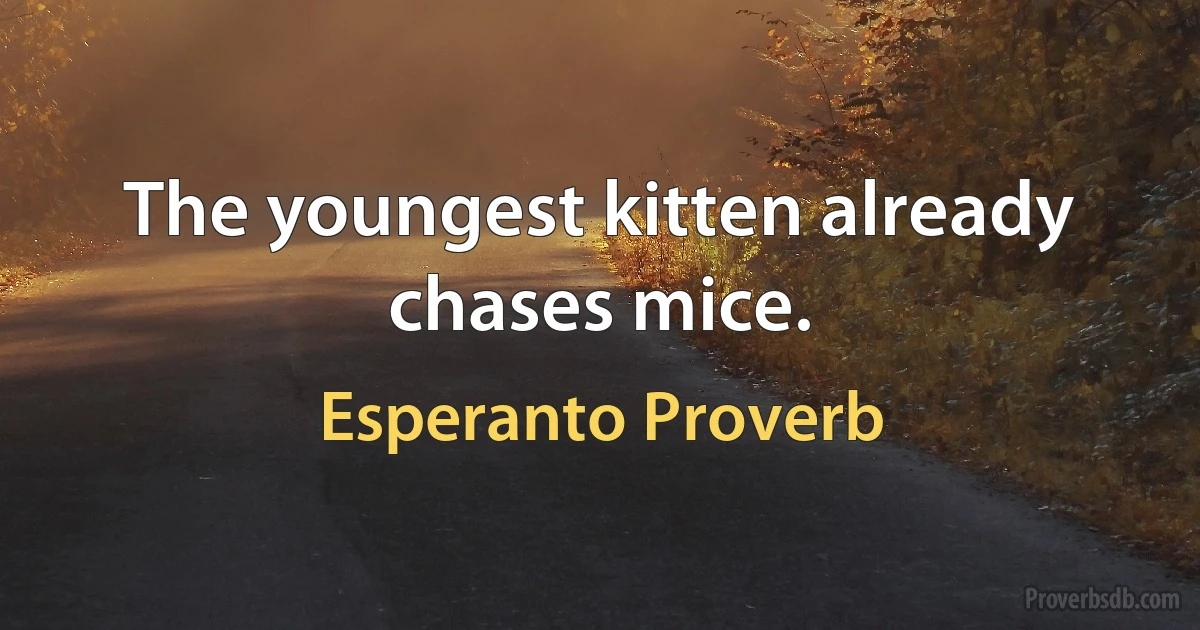 The youngest kitten already chases mice. (Esperanto Proverb)