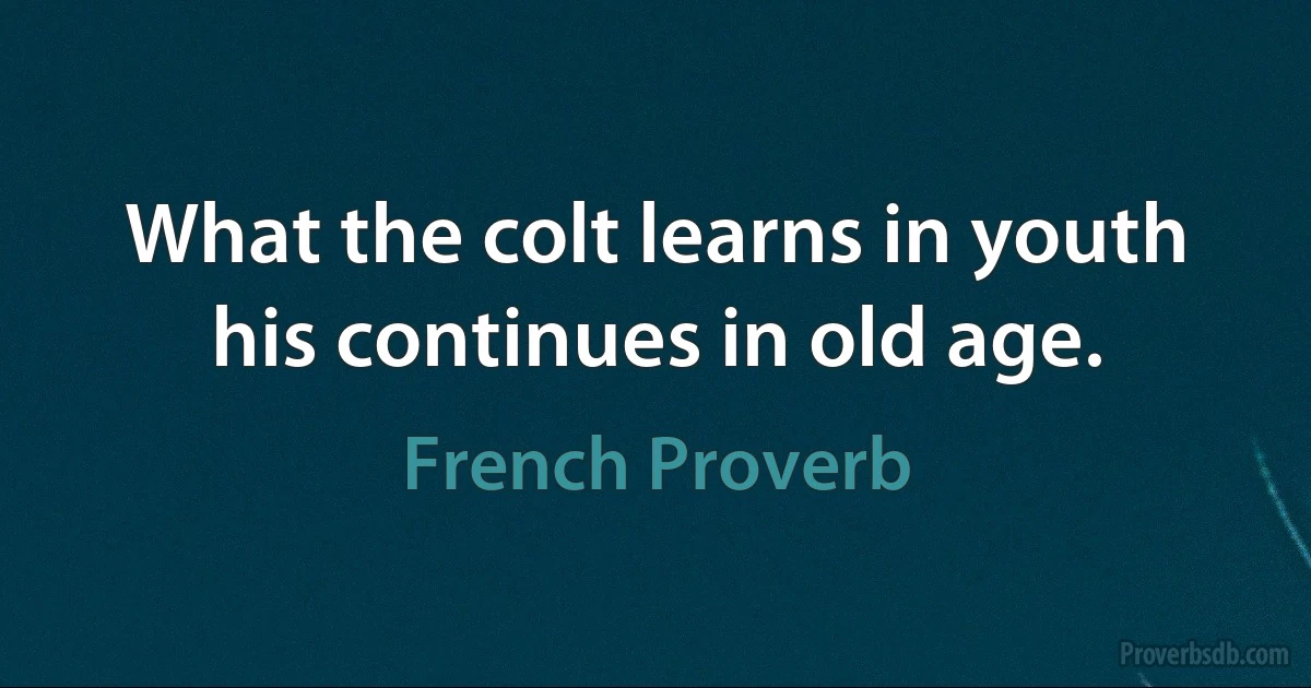 What the colt learns in youth his continues in old age. (French Proverb)