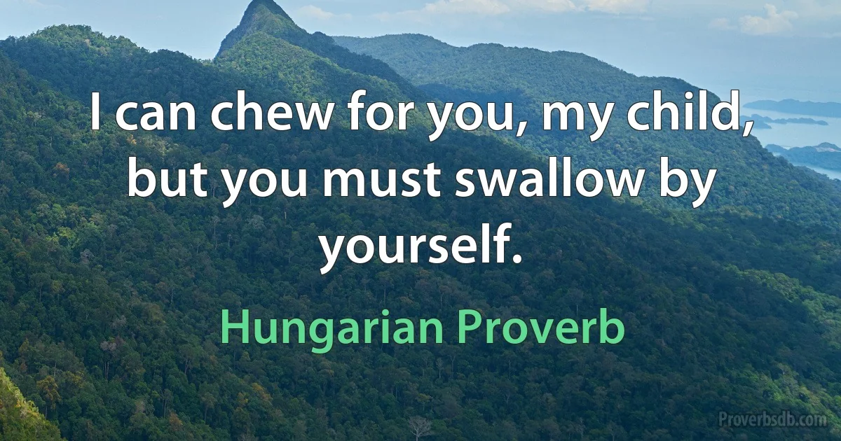 I can chew for you, my child, but you must swallow by yourself. (Hungarian Proverb)