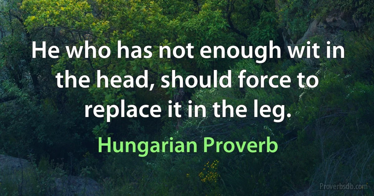 He who has not enough wit in the head, should force to replace it in the leg. (Hungarian Proverb)