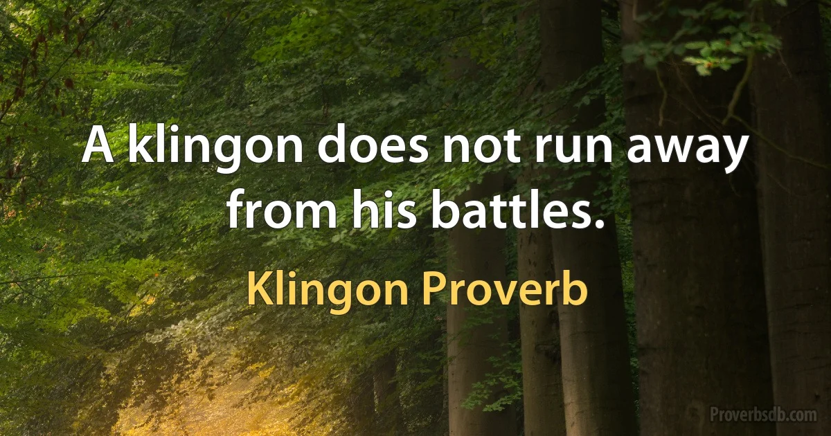 A klingon does not run away from his battles. (Klingon Proverb)