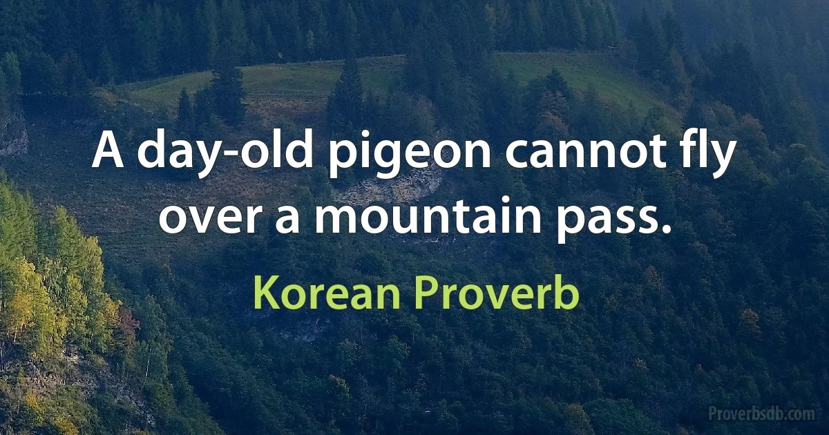 A day-old pigeon cannot fly over a mountain pass. (Korean Proverb)