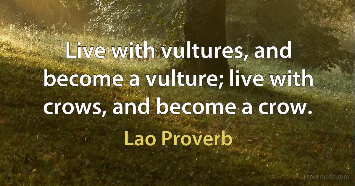 Live with vultures, and become a vulture; live with crows, and become a crow. (Lao Proverb)