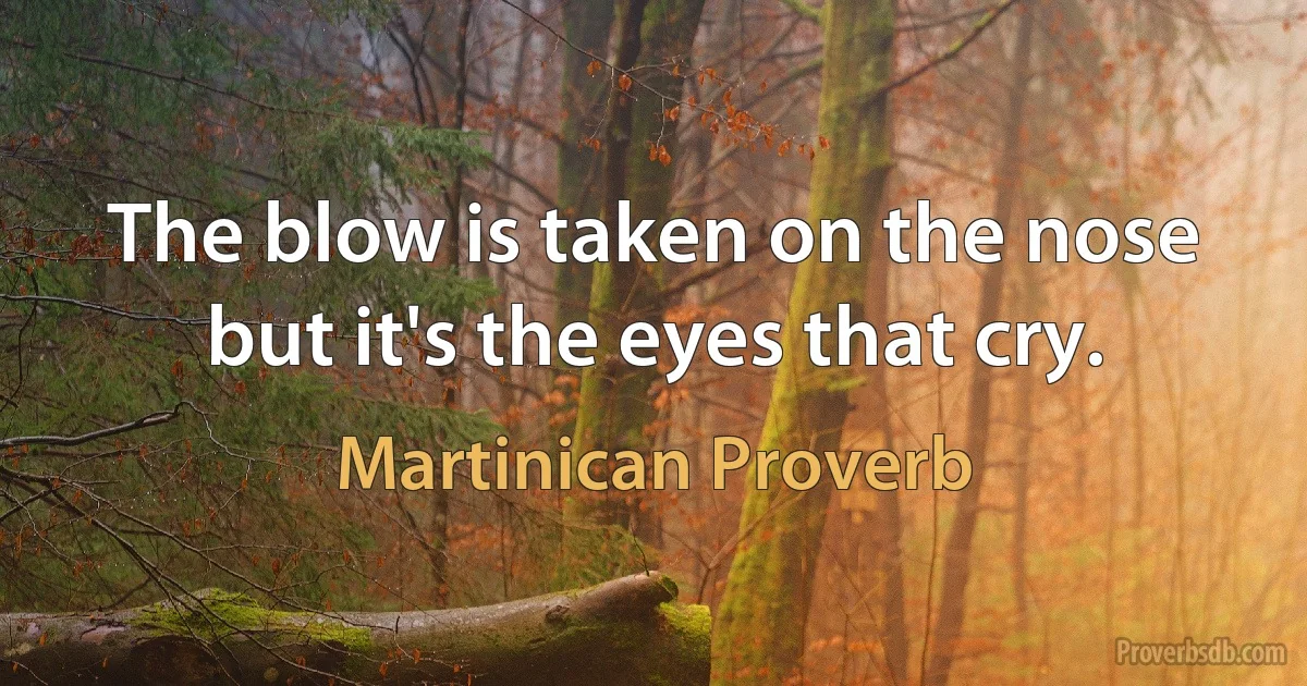 The blow is taken on the nose but it's the eyes that cry. (Martinican Proverb)