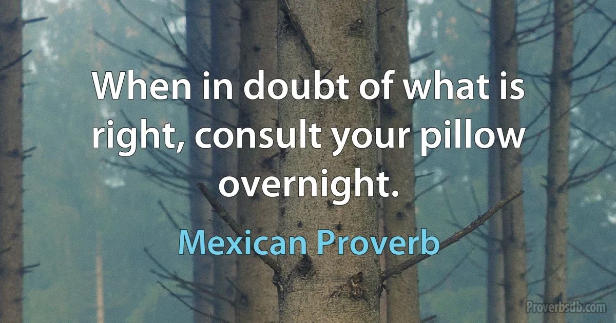 When in doubt of what is right, consult your pillow overnight. (Mexican Proverb)