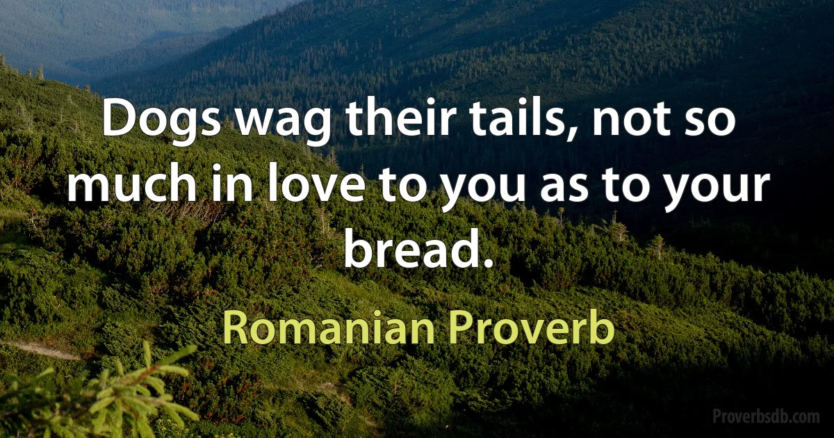 Dogs wag their tails, not so much in love to you as to your bread. (Romanian Proverb)