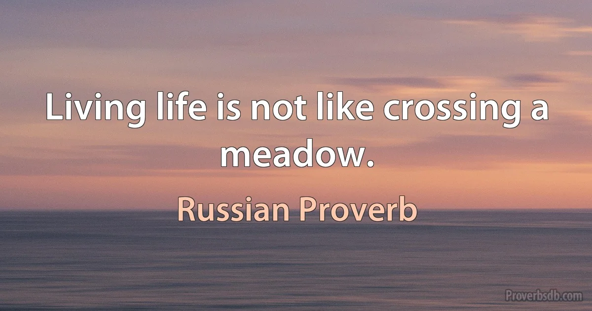 Living life is not like crossing a meadow. (Russian Proverb)