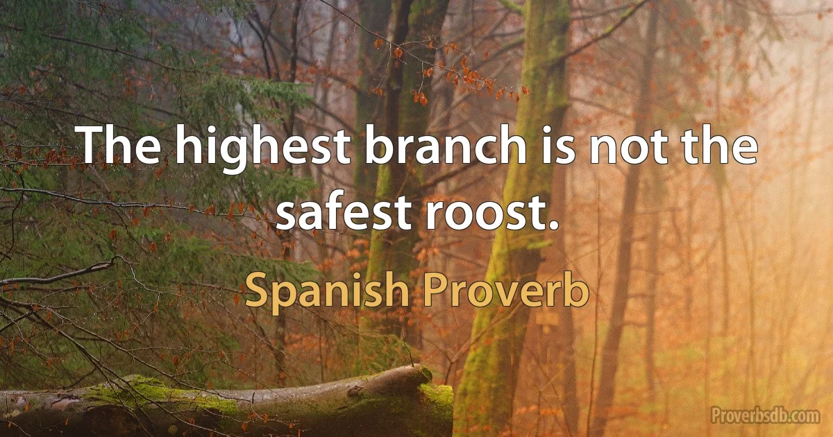 The highest branch is not the safest roost. (Spanish Proverb)