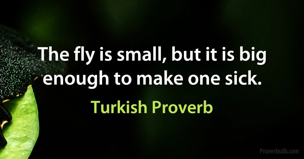 The fly is small, but it is big enough to make one sick. (Turkish Proverb)