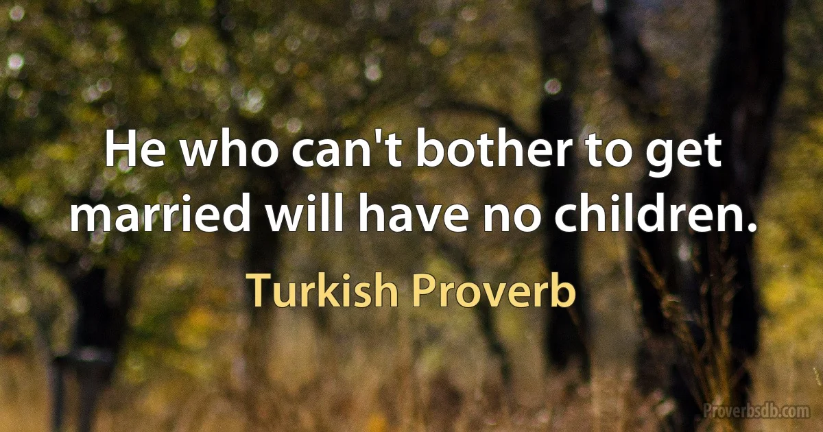 He who can't bother to get married will have no children. (Turkish Proverb)