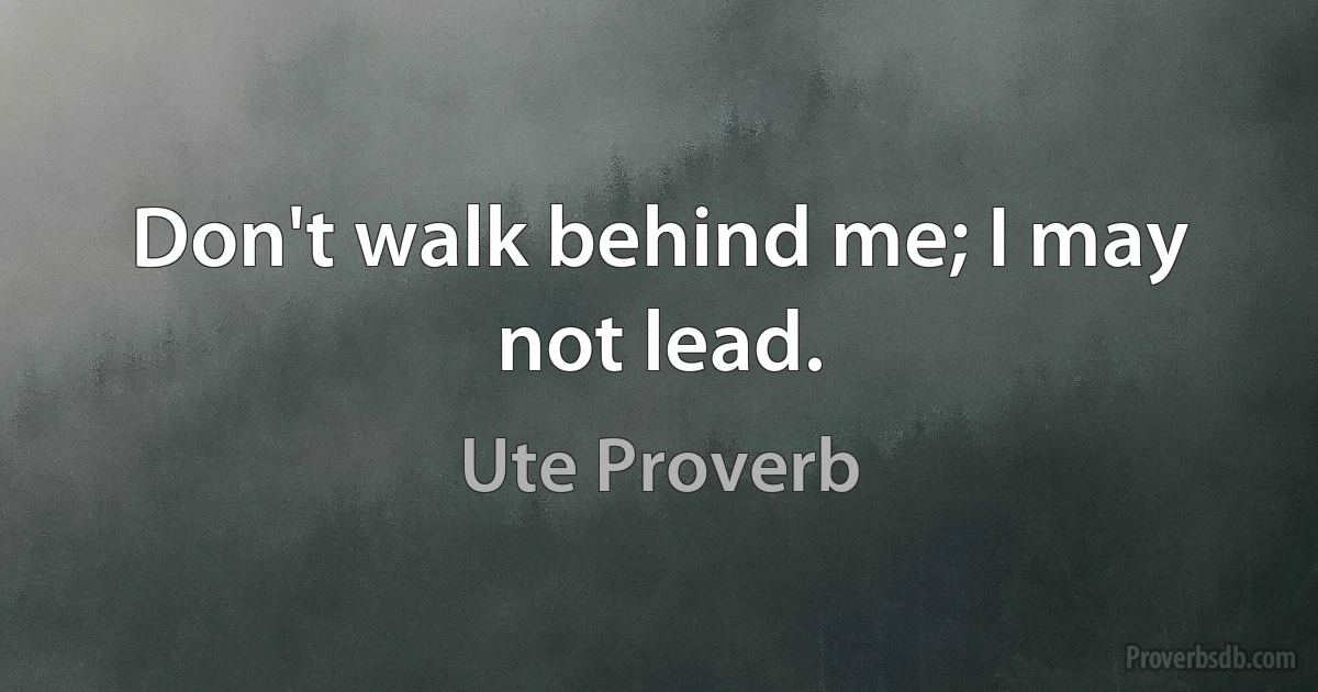 Don't walk behind me; I may not lead. (Ute Proverb)