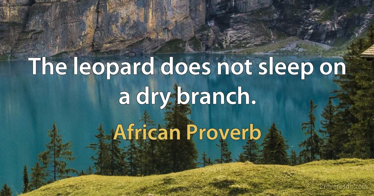 The leopard does not sleep on a dry branch. (African Proverb)