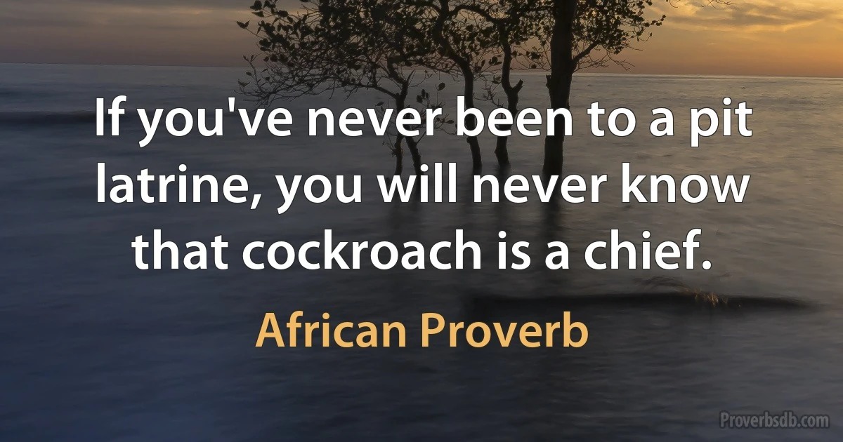 If you've never been to a pit latrine, you will never know that cockroach is a chief. (African Proverb)