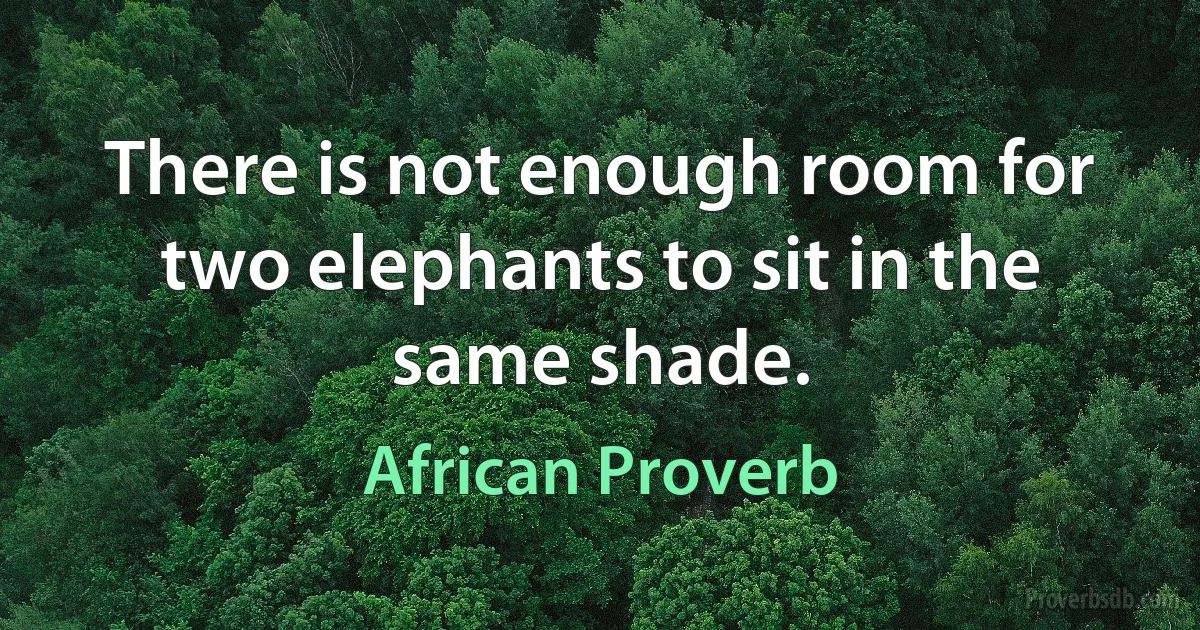 There is not enough room for two elephants to sit in the same shade. (African Proverb)