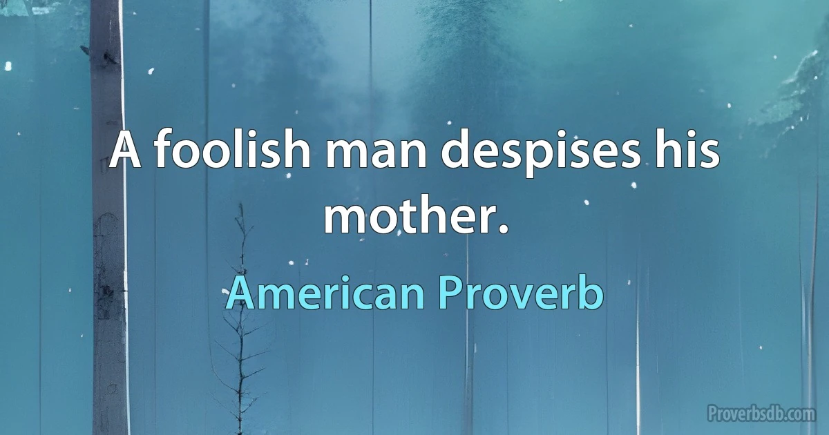 A foolish man despises his mother. (American Proverb)