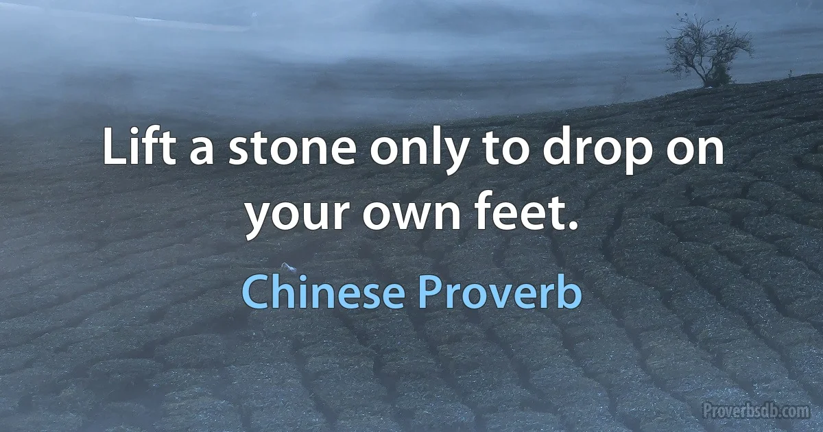 Lift a stone only to drop on your own feet. (Chinese Proverb)