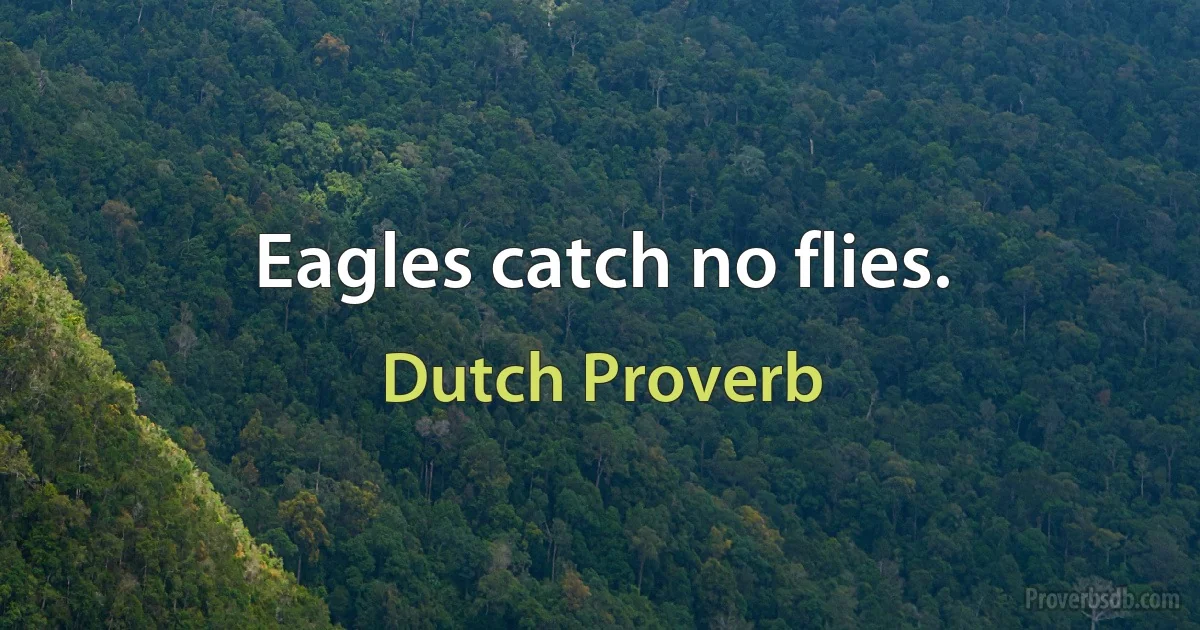 Eagles catch no flies. (Dutch Proverb)